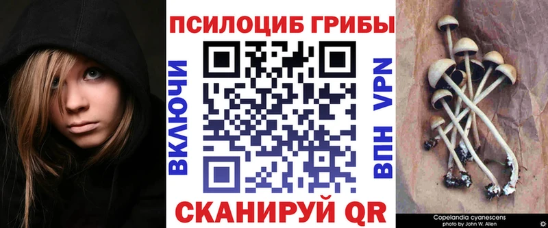 Галлюциногенные грибы Cubensis  Пущино 